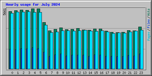 Hourly usage for July 2024