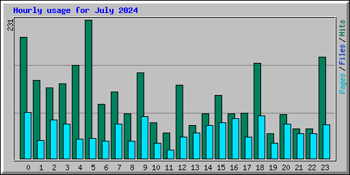 Hourly usage for July 2024