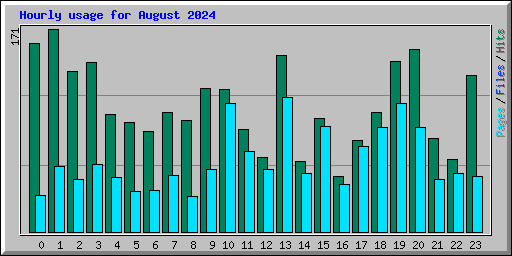 Hourly usage for August 2024