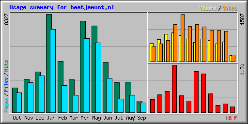 Usage summary for beetjemunt.nl